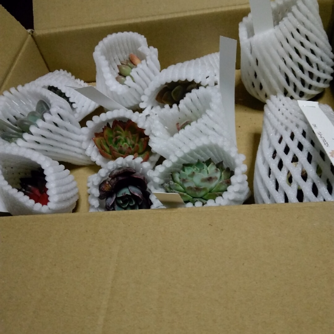 f:id:kuroneko-m:20220121191305j:plain