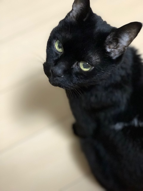 f:id:kuroneko-winery:20191002142100j:plain