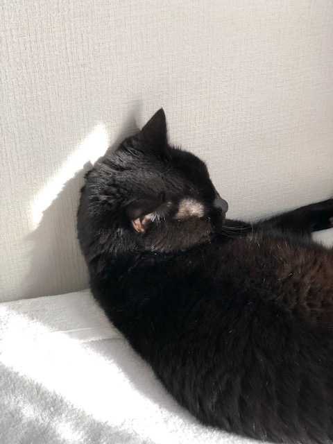 f:id:kuroneko-winery:20191013192224j:plain