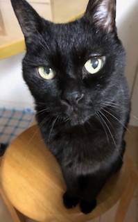 f:id:kuroneko-winery:20191028150546j:plain