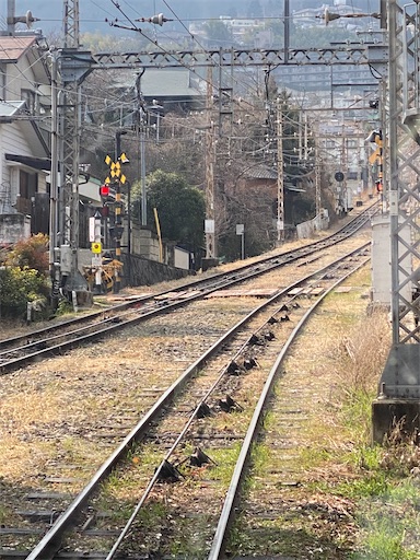 f:id:kuroneko356:20260212172707j:image f:id:kuroneko356:20260212172707j:image