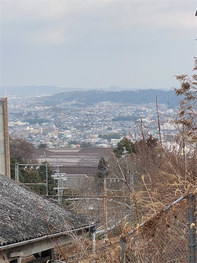 f:id:kuroneko356:20260212183631j:image f:id:kuroneko356:20260212183631j:image