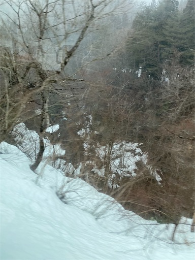 f:id:kuroneko356:20260306004146j:image