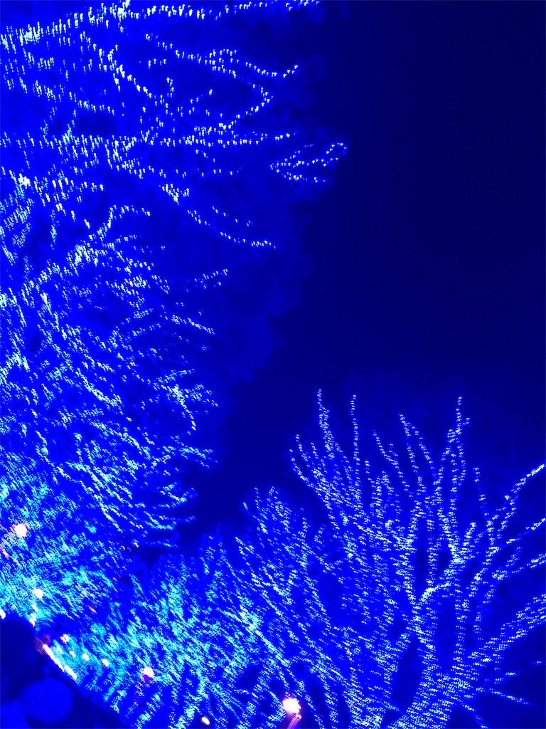 f:id:kuroneko62:20181223230726j:image f:id:kuroneko62:20181223230726j:image