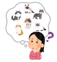 猫がするアニマルセラピーがすごい 癒しの力に秘めた３つの効果 クロネコあぐりのブログ