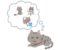 夢を見る猫のイラスト