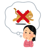安眠を取り戻そう 猫が運動会を夜中に開催する３つの理由と対策 クロネコあぐりのブログ