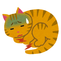 お腹が痛い猫のイラスト