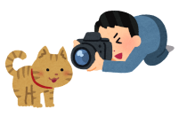 猫の写真を撮る人のイラスト