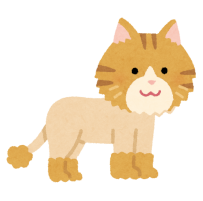 サマーカットになった猫のイラスト