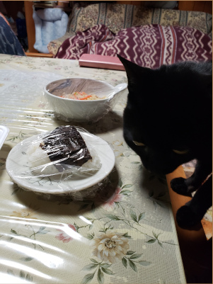 おにぎりを狙う黒猫の画像