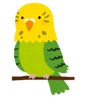 インコのイラスト