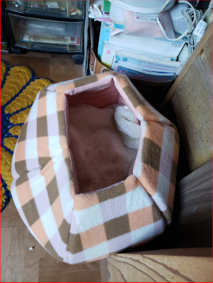 猫壺ベッドの画像