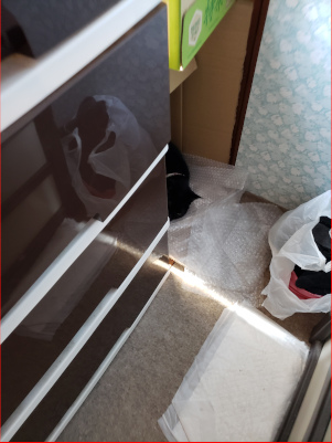隅で寝てる猫の画像