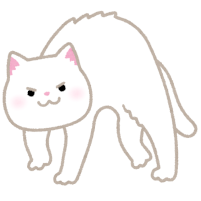 白猫のやんのかステップのイラスト