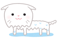 濡れてしぼんだ白猫のイラスト
