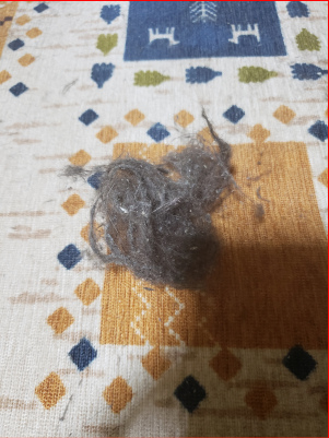 猫の毛玉の画像
