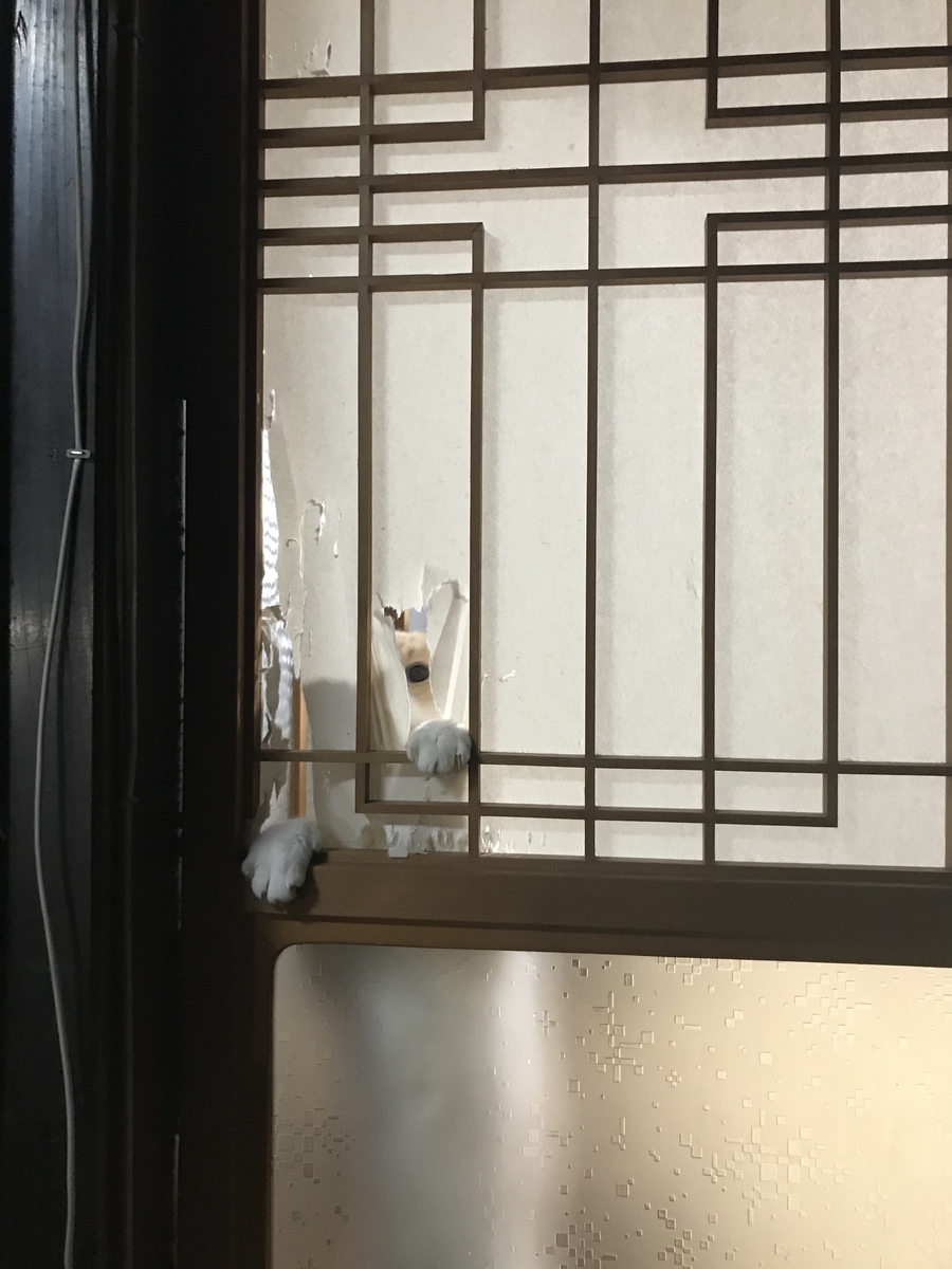 f:id:kuronekoekaki:20210206211158j:plain