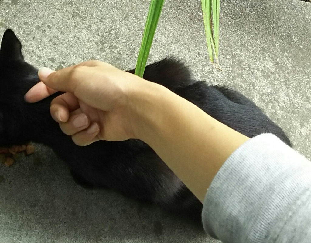 f:id:kuronekoh:20180921193532j:plain