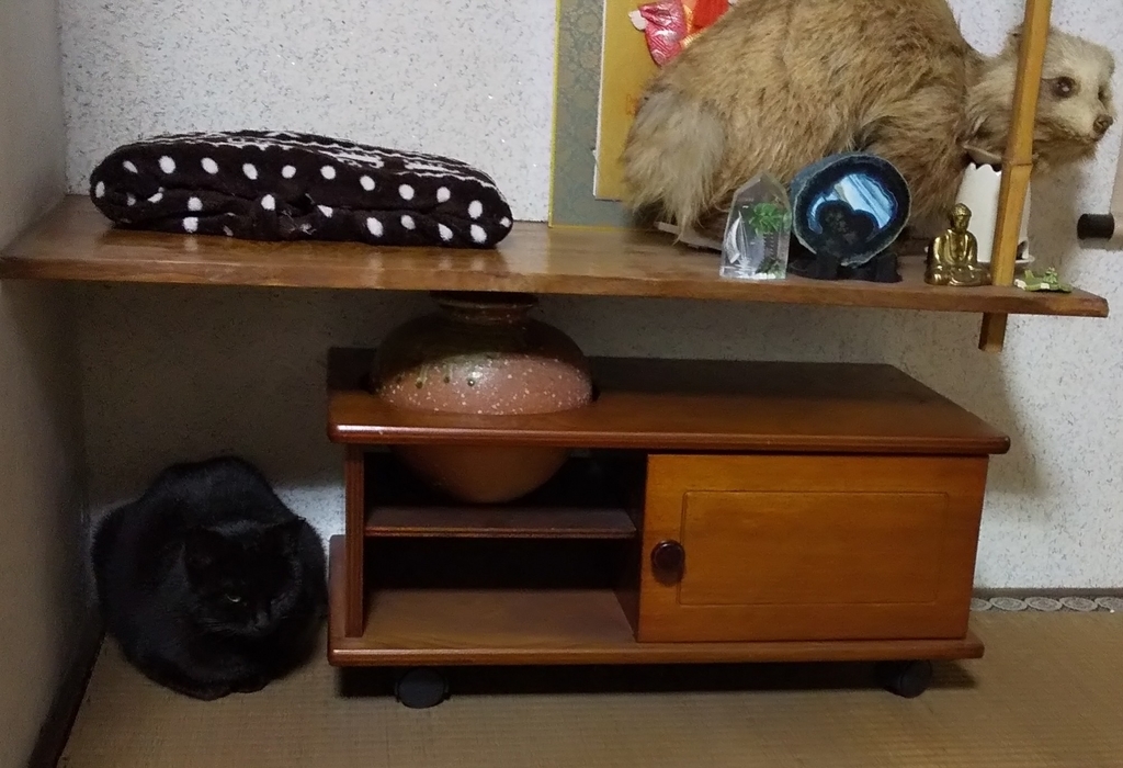 f:id:kuronekoh:20190220002954j:plain