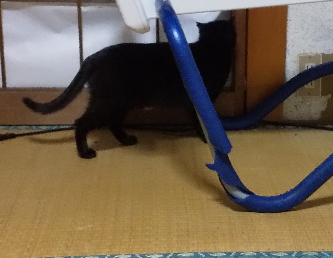 f:id:kuronekoh:20190327161429j:plain
