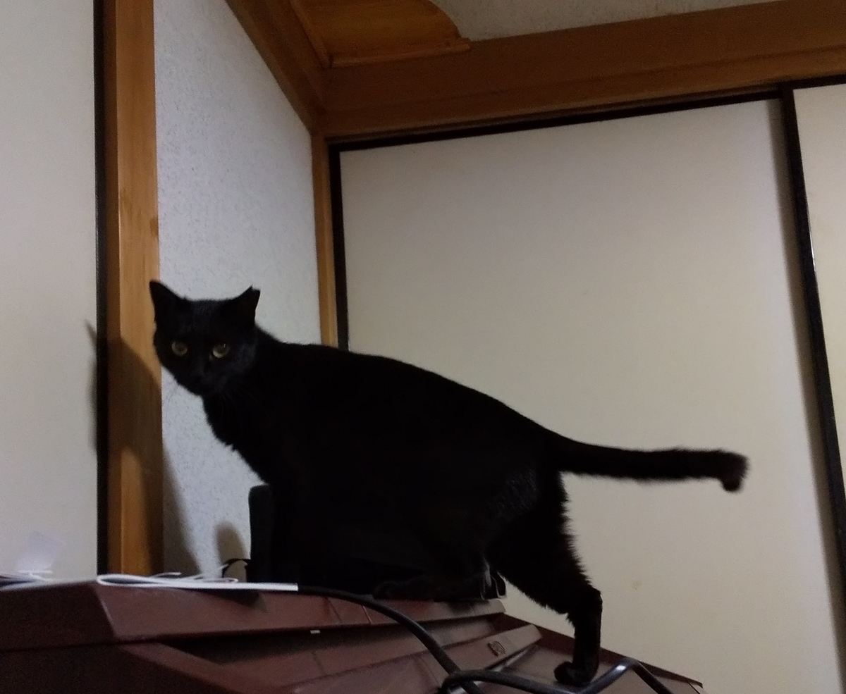 f:id:kuronekoh:20190327162510j:plain