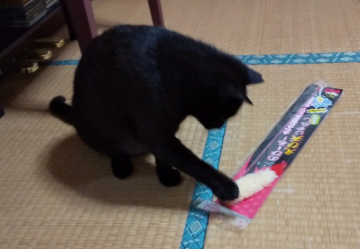 f:id:kuronekoh:20190513095455j:plain