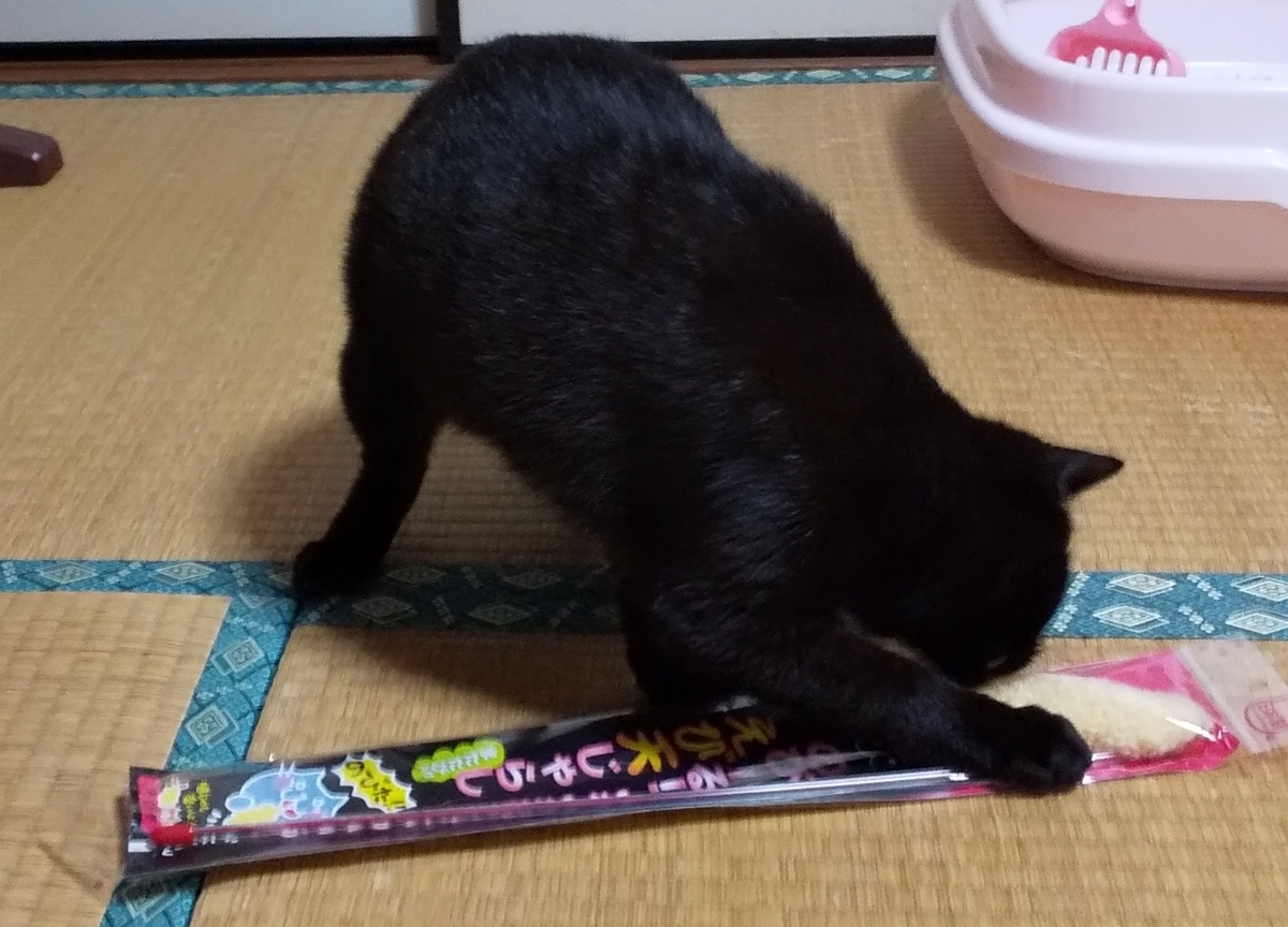 f:id:kuronekoh:20190513095557j:plain
