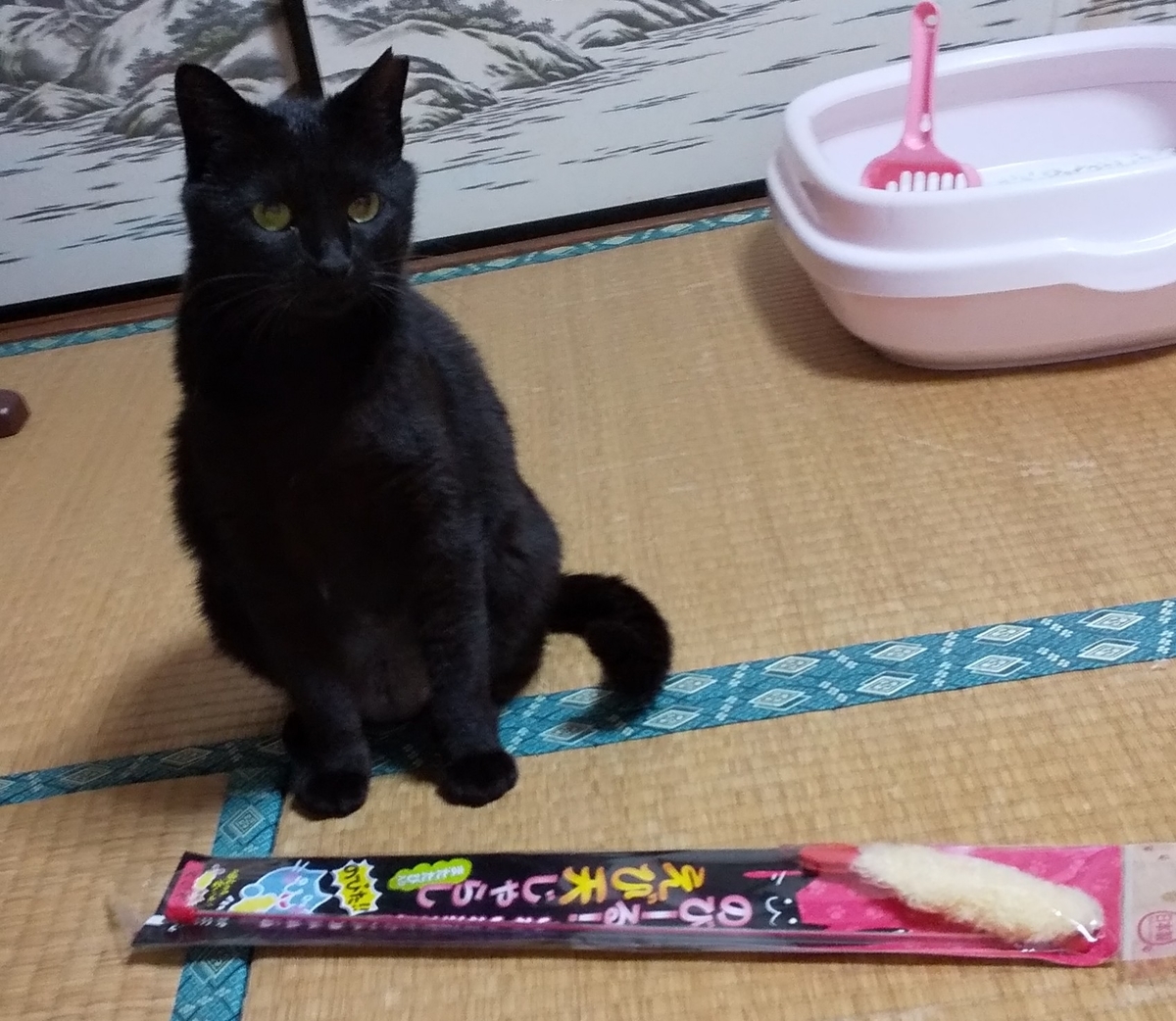 f:id:kuronekoh:20190513095907j:plain