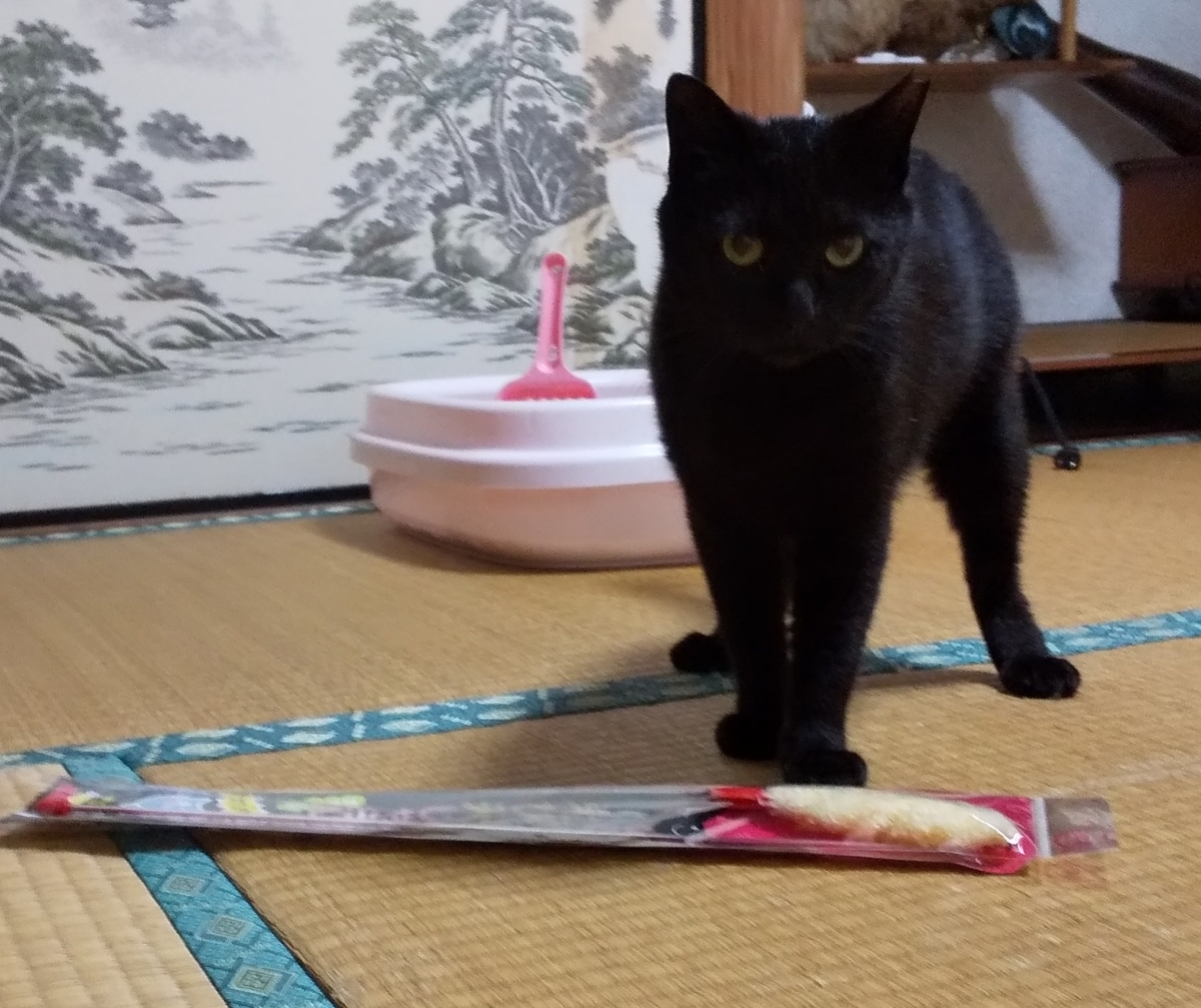 f:id:kuronekoh:20190513100102j:plain