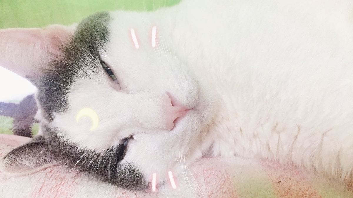 f:id:kuronekoh:20191202221122j:plain
