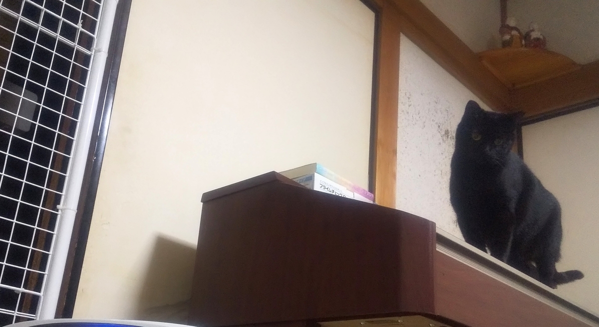 f:id:kuronekoh:20200315012741j:plain