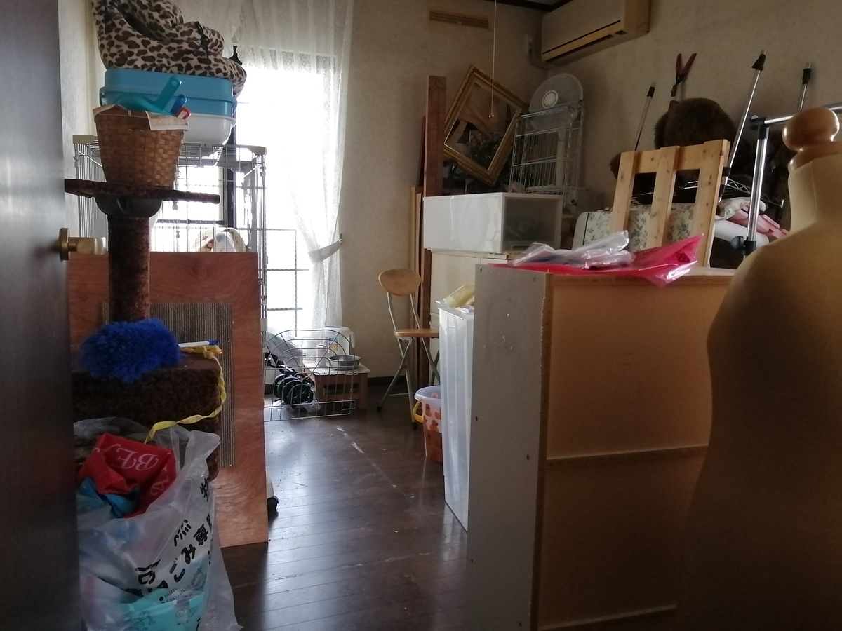 f:id:kuronekomalucomama:20210104010502j:plain