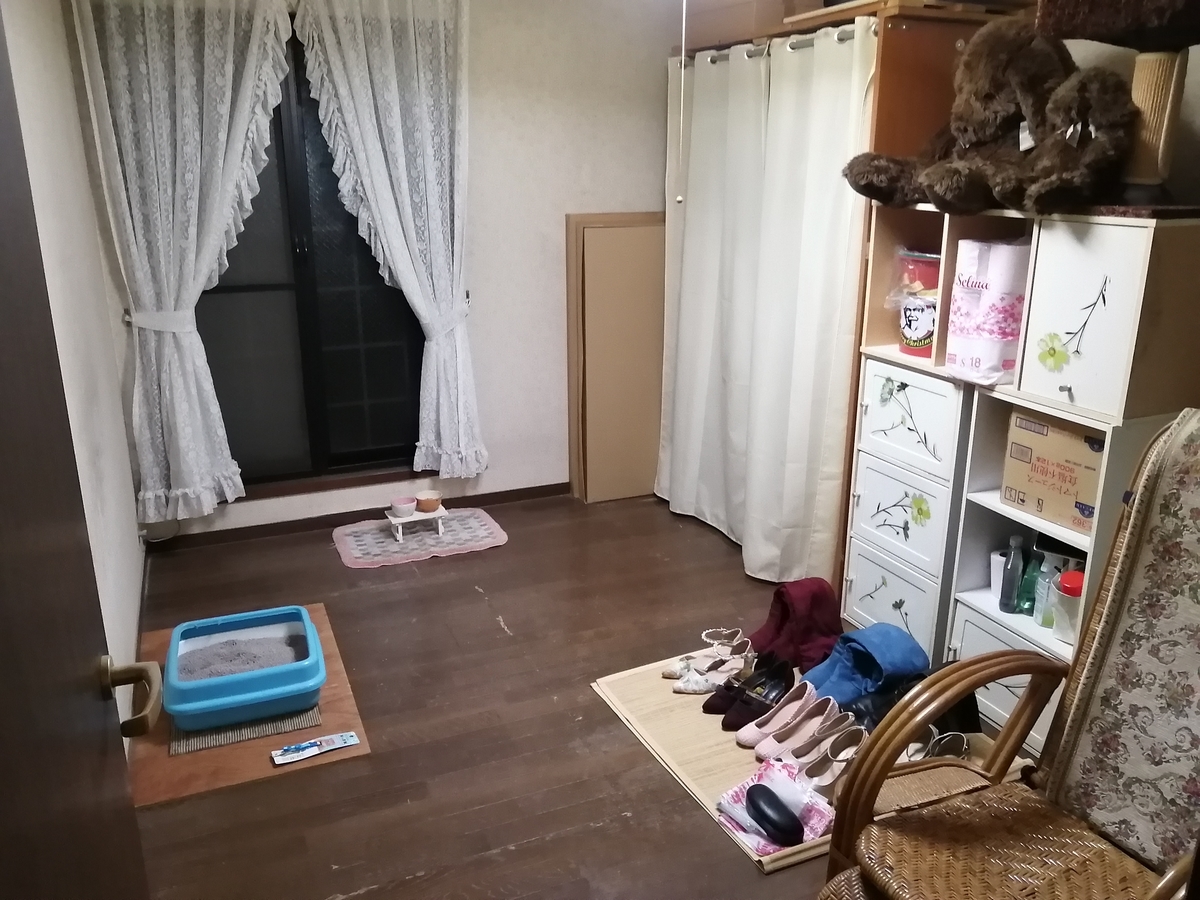 f:id:kuronekomalucomama:20210104011040j:plain