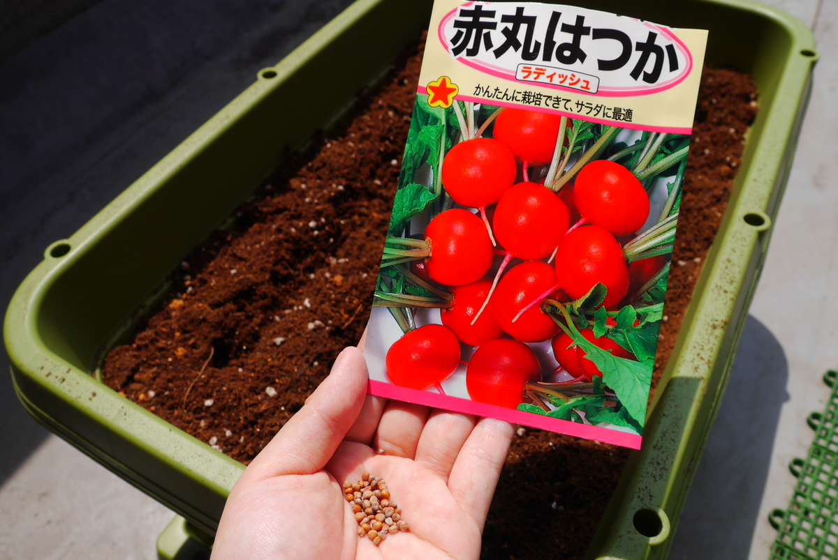 f:id:kuronekotabi:20200819160239j:plain f:id:kuronekotabi:20200819160239j:plain