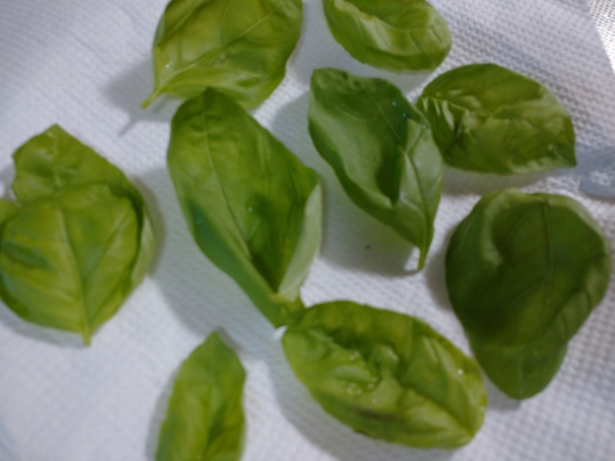 f:id:kuronekotabi:20201002173010j:plain f:id:kuronekotabi:20201002173010j:plain