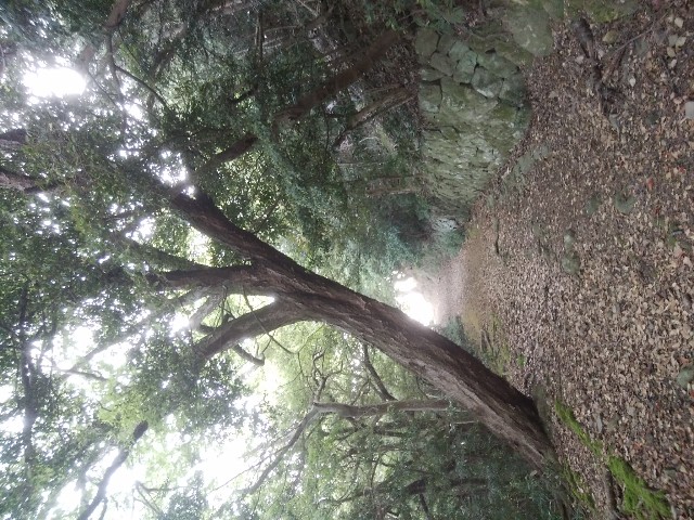 f:id:kuronosyasin:20180429200246j:plain f:id:kuronosyasin:20180429200246j:plain