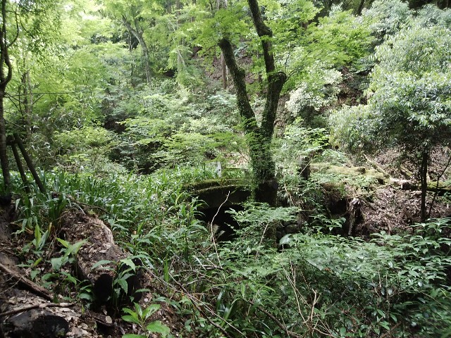 f:id:kuronosyasin:20180614175359j:image f:id:kuronosyasin:20180614175359j:image
