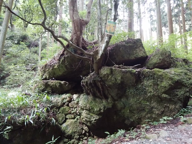 f:id:kuronosyasin:20180614175748j:image f:id:kuronosyasin:20180614175748j:image