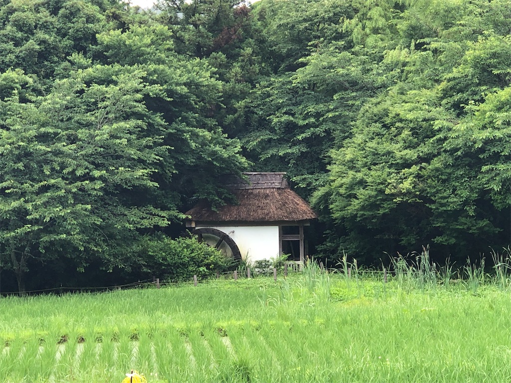 のんのんびより 聖地巡礼 クロウーロンが特に気を張る事もなく自分なりにやっていくblog のんのんびより 聖地巡礼 クロウーロンが特に気を張る事もなく自分なりにやっていくblog