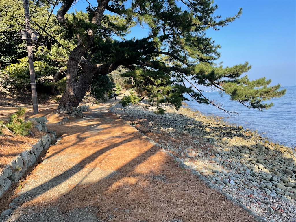 f:id:kurooolongtheorigin:20220412210441j:image