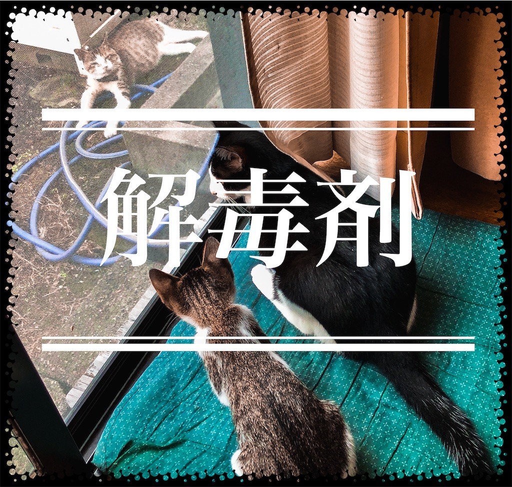f:id:kuropantu:20200730141919j:plain:w200 f:id:kuropantu:20200730141919j:plain:w200