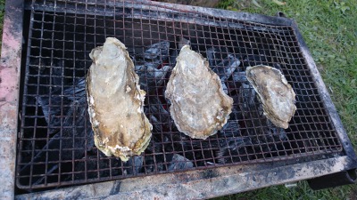 厚岸かき祭り,池田陽地域おこし協力隊blog