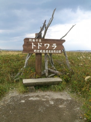 野付半島,池田町地域おこし協力隊blog