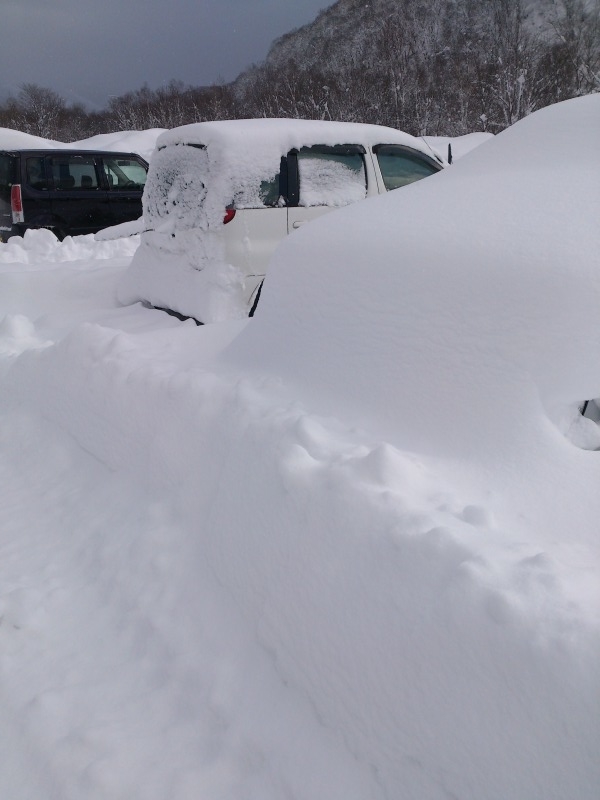 雪に埋もれた車