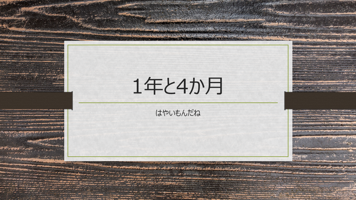 協力隊を卒業して1年4か月