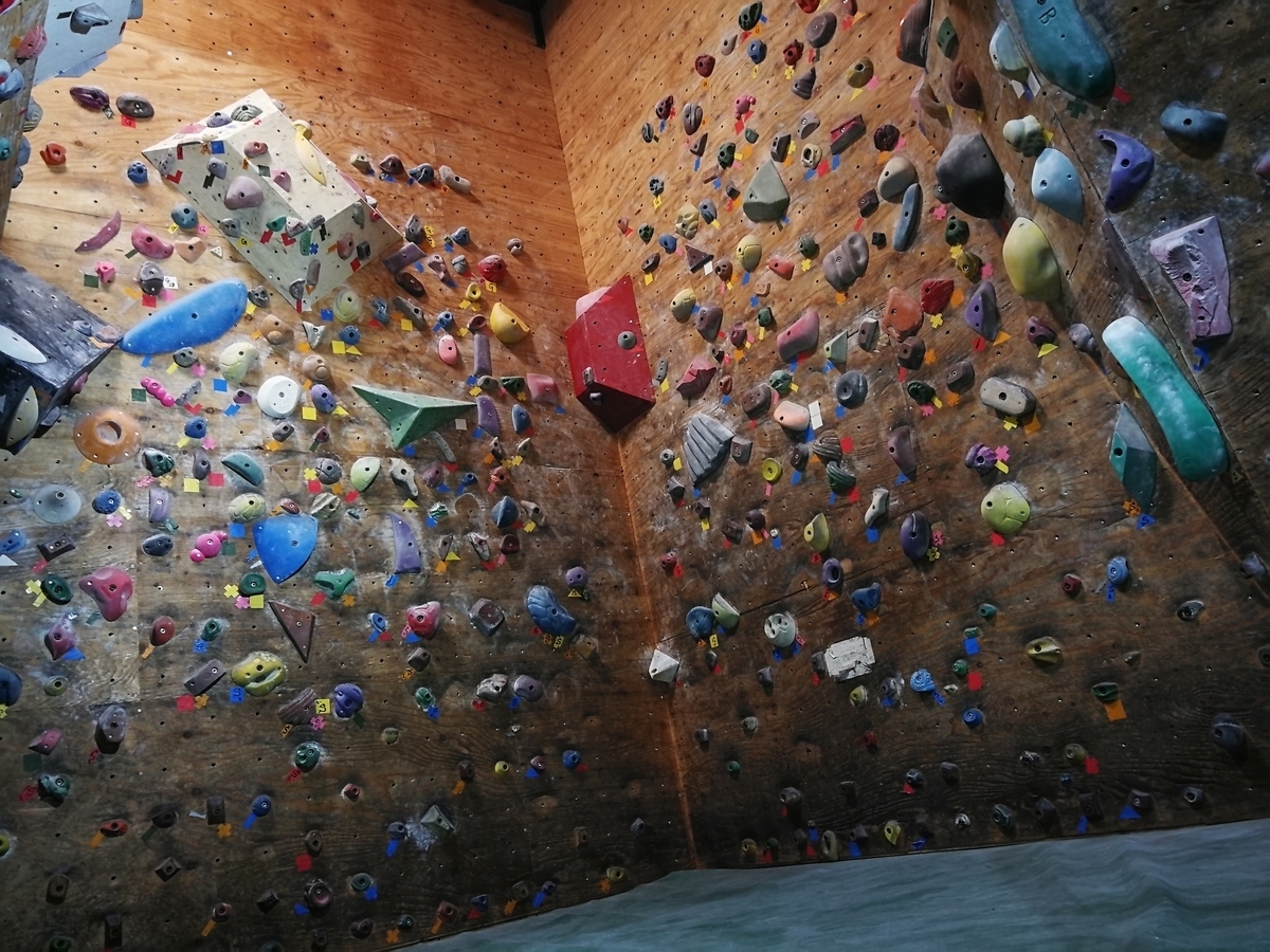 f:id:kuroroman:20210121171146j:plain