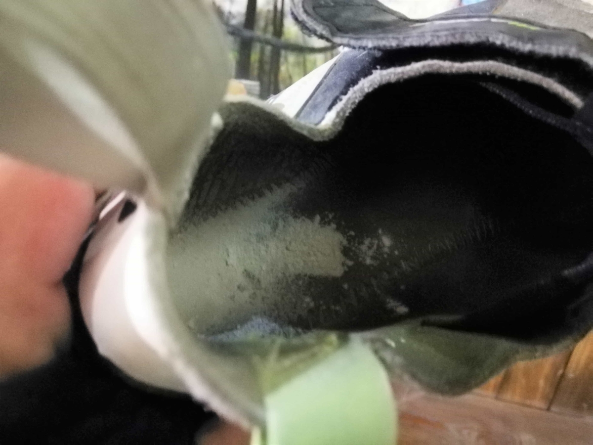 f:id:kuroroman:20210209224235j:plain