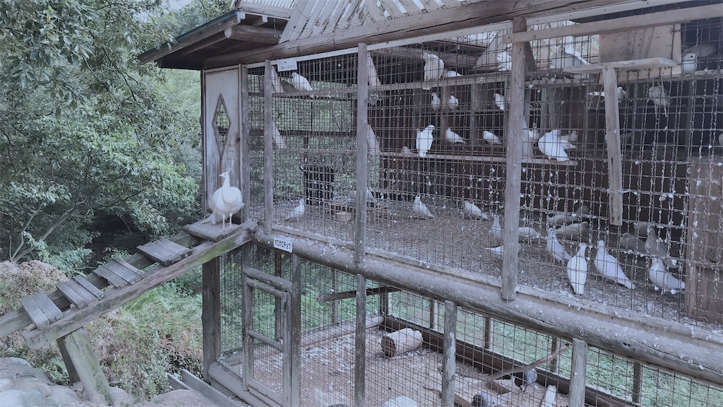 f:id:kurosawa07:20210302183210j:image f:id:kurosawa07:20210302183210j:image