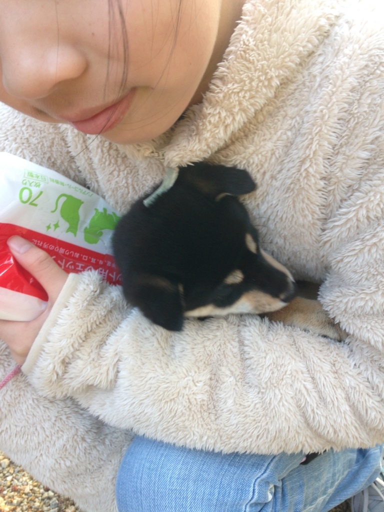 f:id:kuroshibainu:20180114224639j:plain f:id:kuroshibainu:20180114224639j:plain